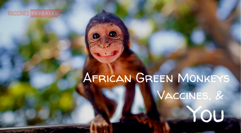 African Green Monkeys, Vaccines, and You