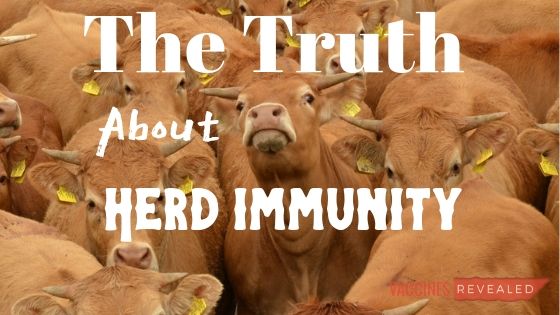 ﻿The Truth About Herd Immunity